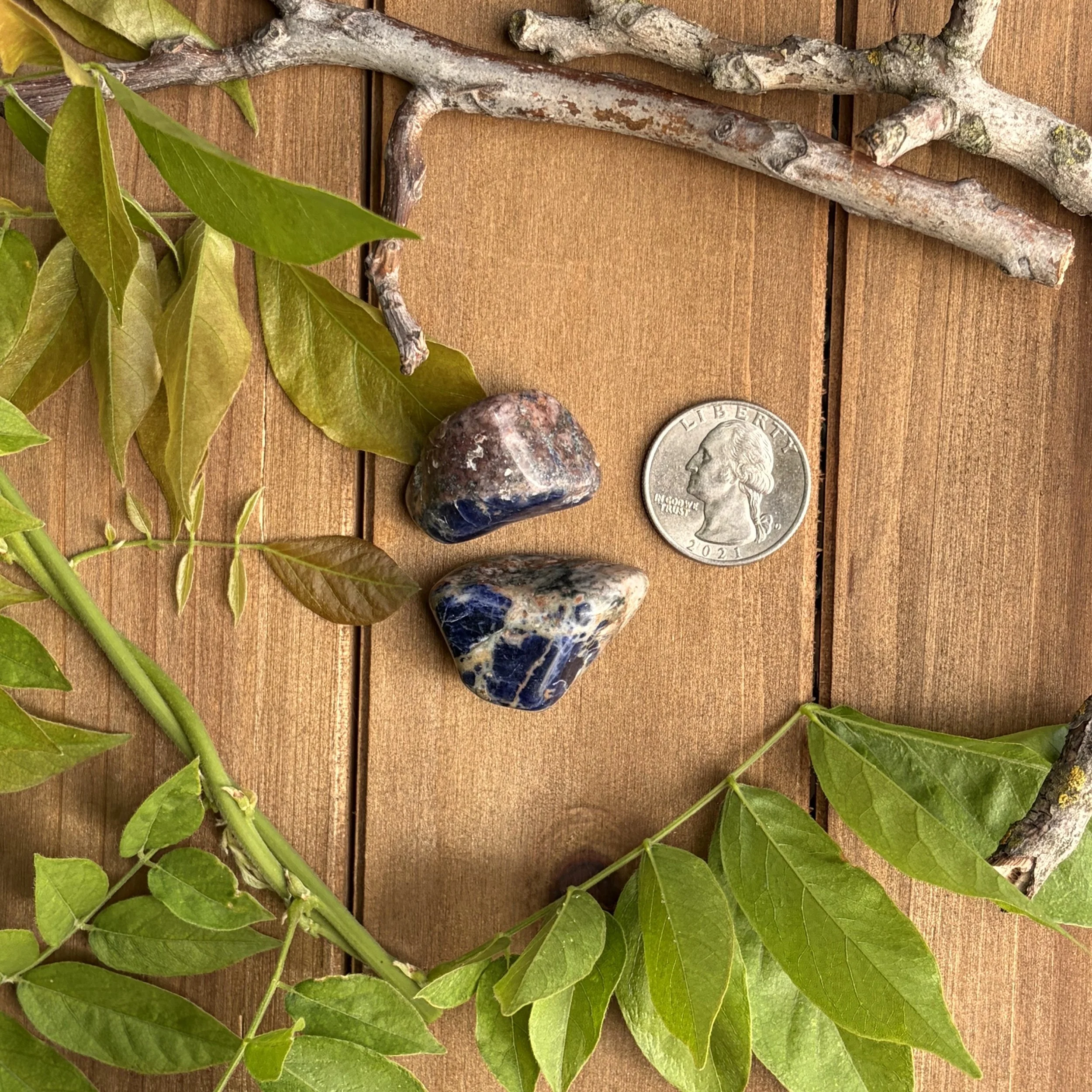 Sodalite tumbled gemstones