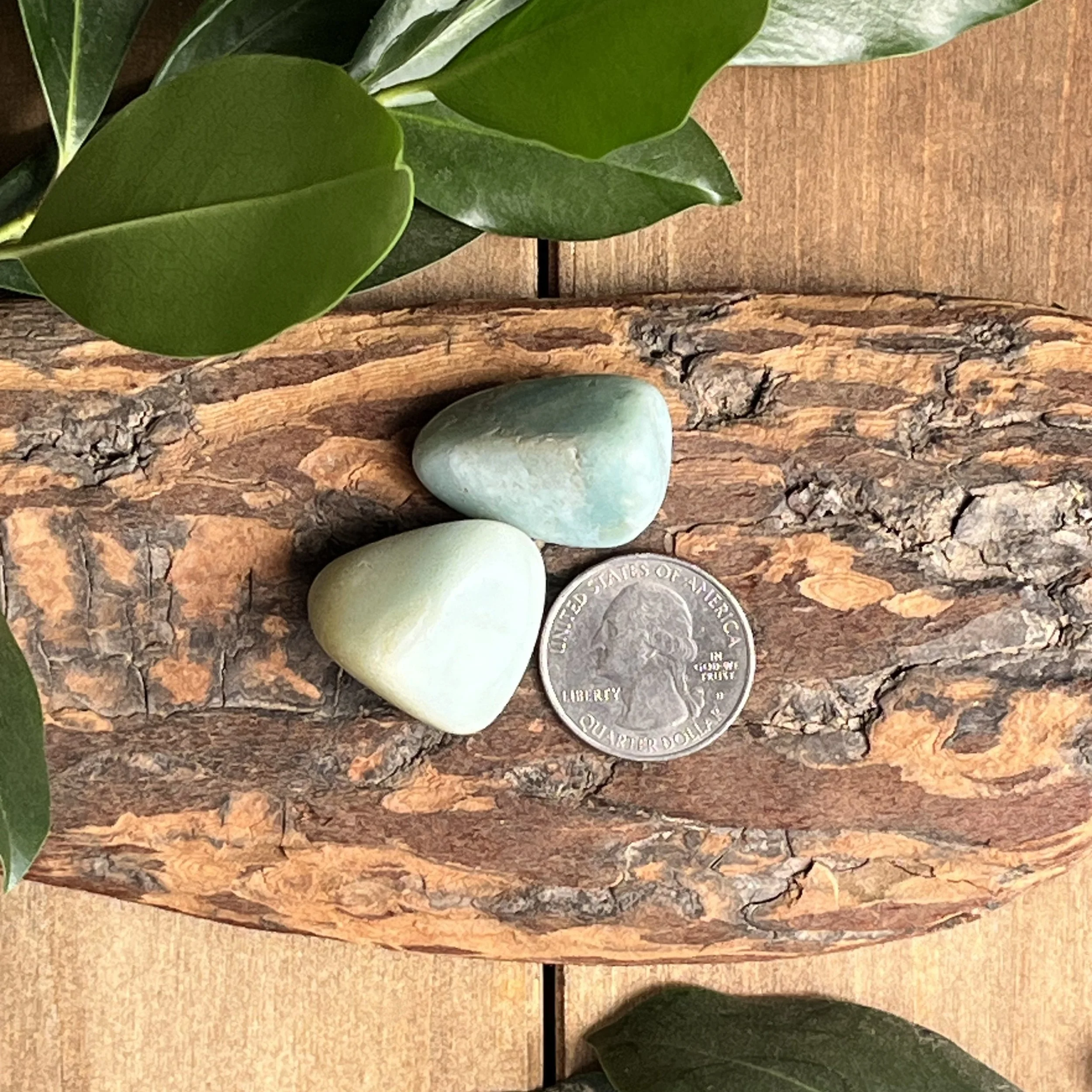 Amazonite tumbled gemstones