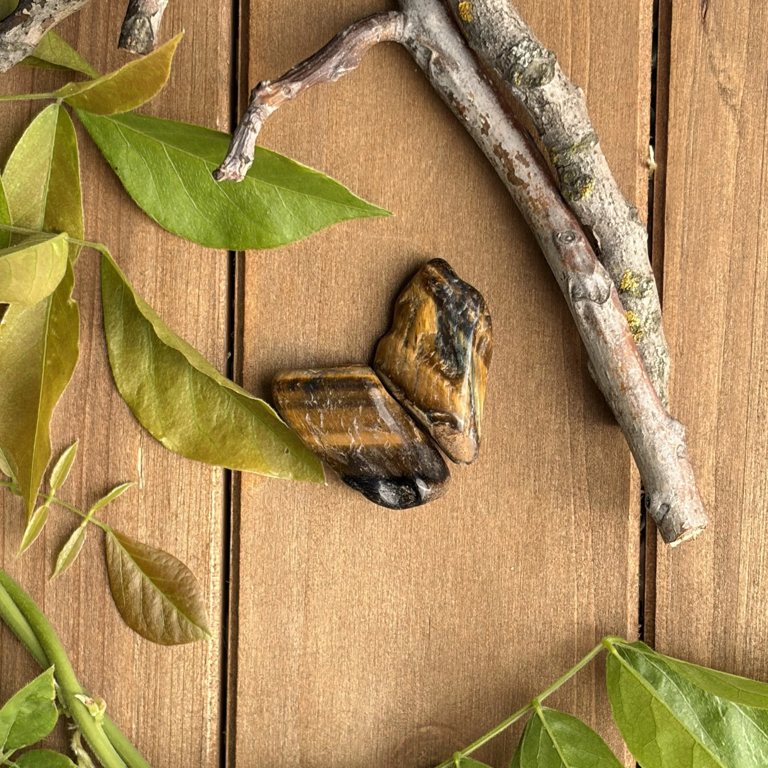 Tiger Eye Pocket Stones for Leadership