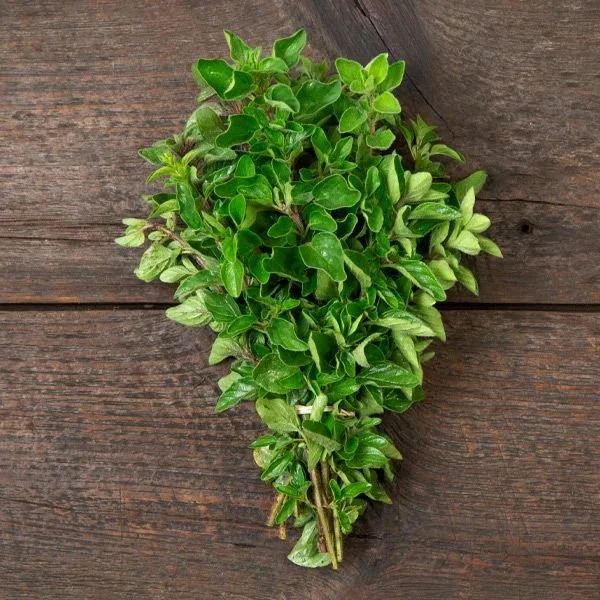 oregano.jpg