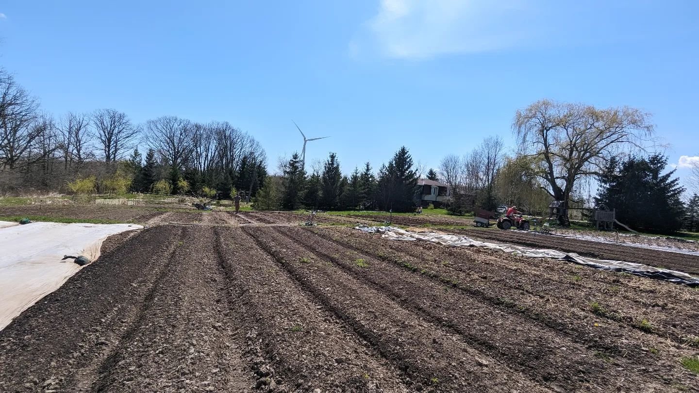 Beds are ready and planting is about to begin! This week our goal is to get lettuce, salad mix, kohlrabi, cabbage, bok choi, kale, and beets into the ground.