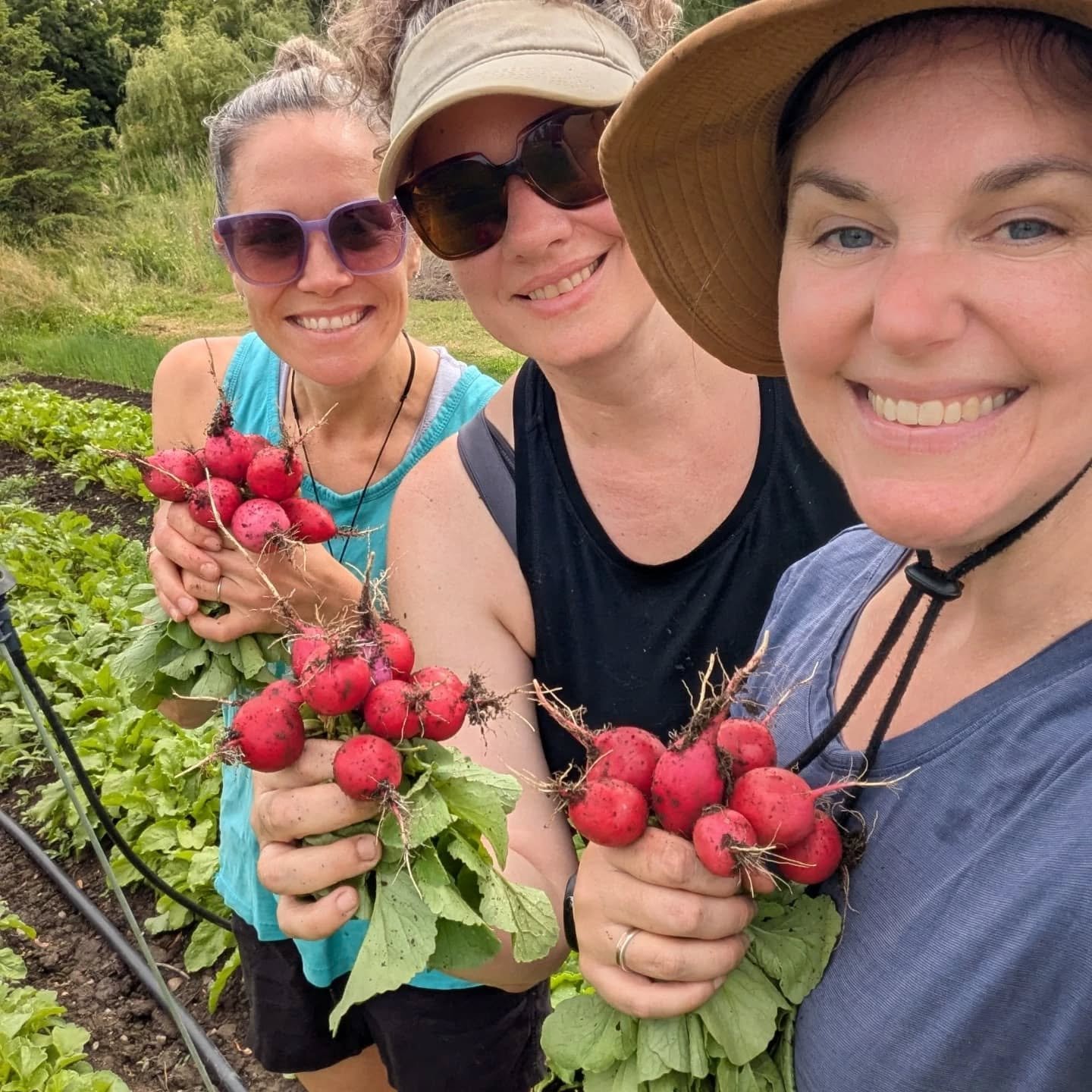 The faces of today's harvest. 🥰