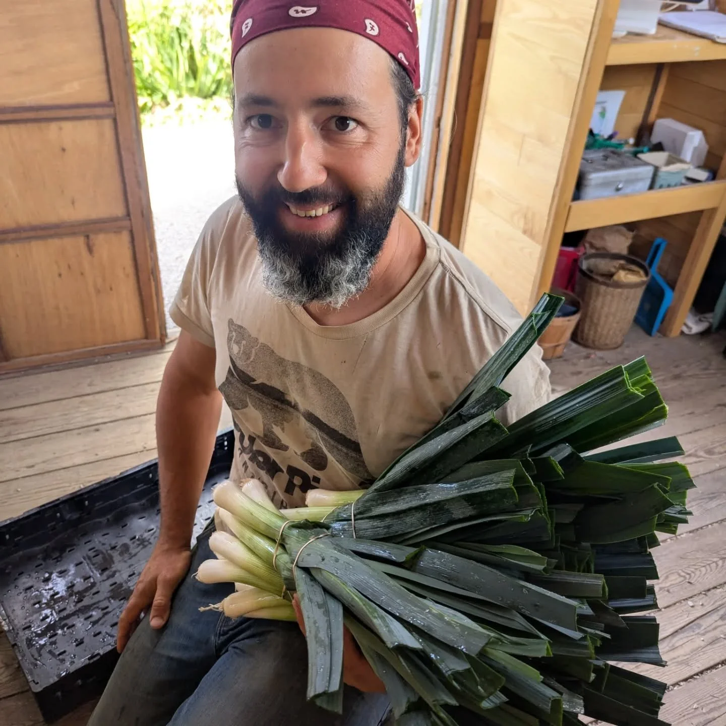Heading into October feeling grateful for the season we have had so far, and for all the bounty that the soil keeps on giving us. Our kind of market garden doesn't stop at harvest time in the fall. We actually harvest almost year round! Our 8 week Fa