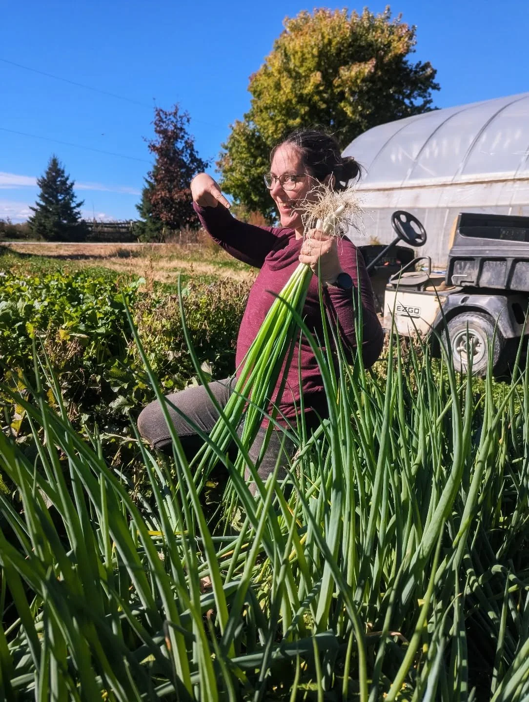 Caught a big one! 
I like living in a world where huge beautiful spring onions make me happy. ☀️
We're packing bags today for the last week of our summer Farm Share. 
But it doesn't really feel like it's over, because we'll be packing 100 bags a w