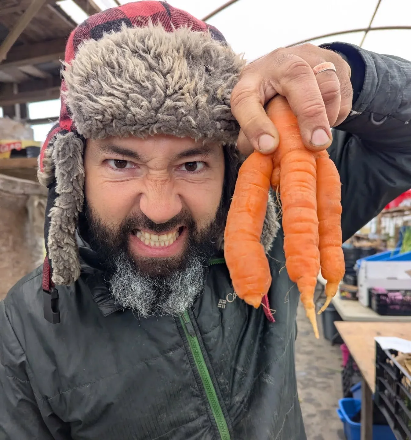 Wolverine's lesser-known nemesis, Carrotclaw

(Carrot credit goes to @aslanorganics 🤗)