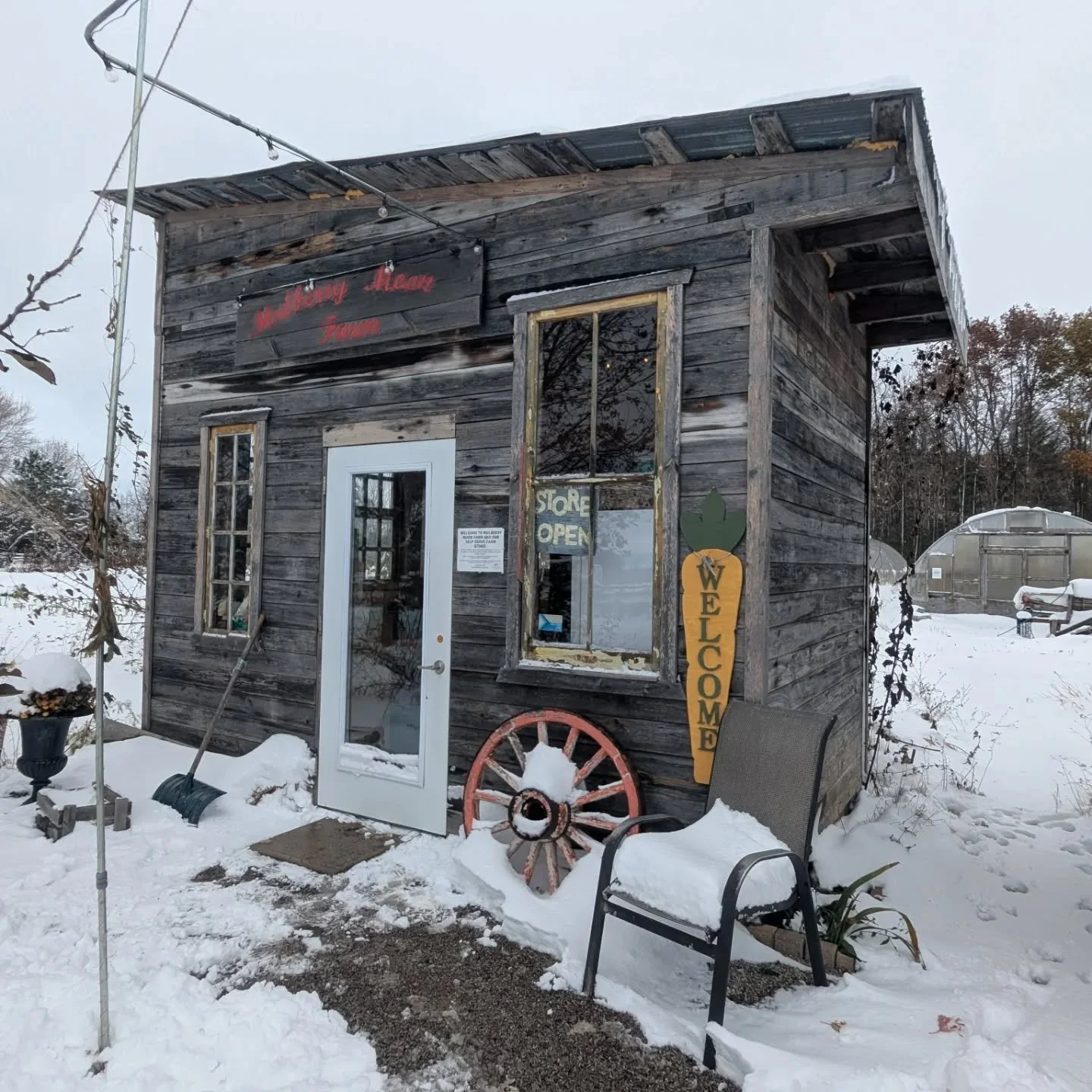Winter came to remind us of her power. But our store is still open and we are still harvesting! We got most of our roots and tender greens out of the soil and packed away in storage. Once the snow clears we'll get the rest that we can. Meanwhile our 