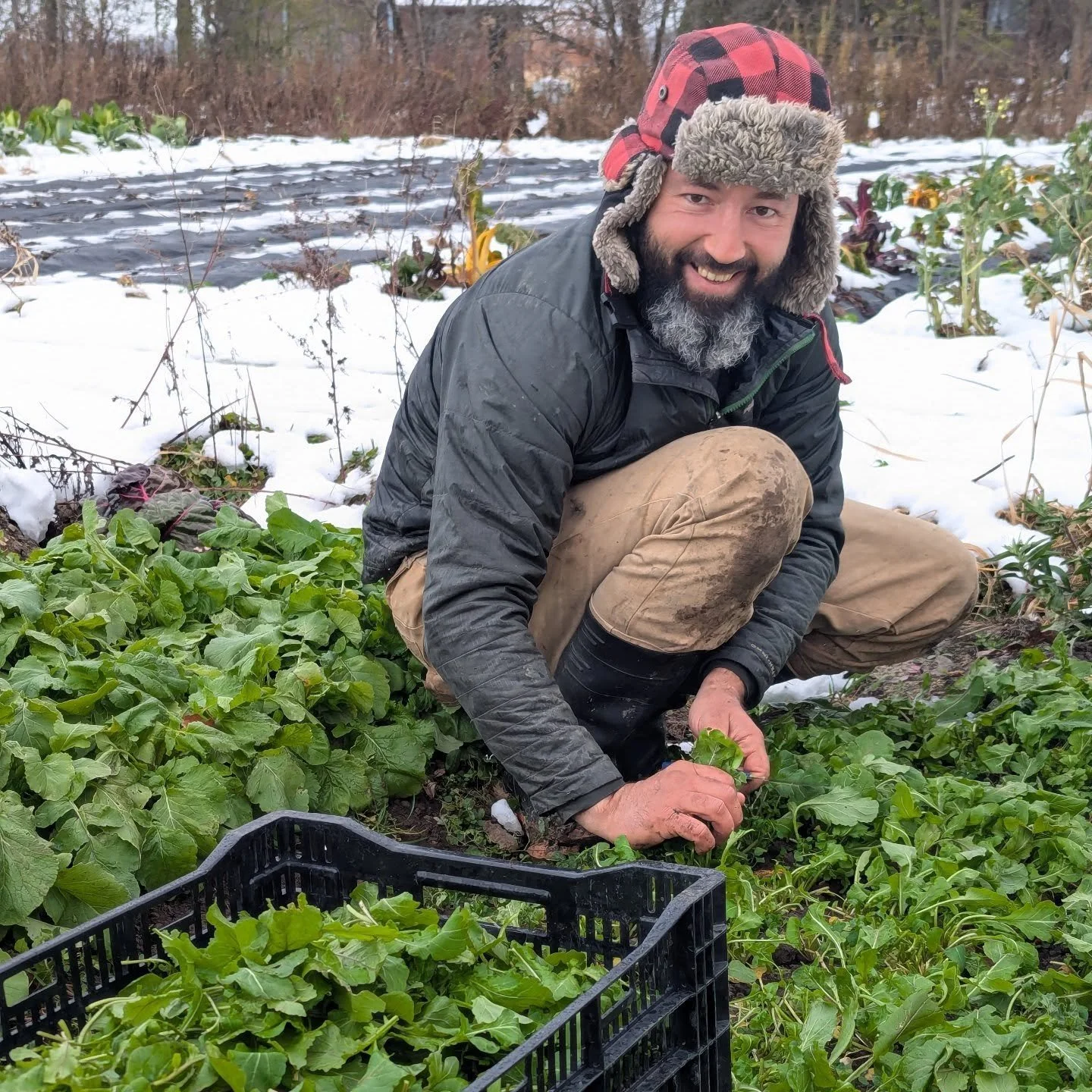 Just your friendly, chilly local farmer saying - hey! We spent the last two days harvesting and washing fresh, nutritious, organic produce - for you! 

And you can swing by our sweet little self-serve farm store and fill up a bag and bring it home an