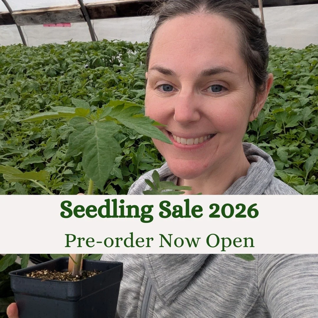 Our 2026 Seedling Sale is now live! 

Despite what it looks like outside, spring will come.

Grab a cup of tea, get cozy, and plan your garden with us. We'll have your plant babies ready for you in May!

Pre-order on our website or follow the link in