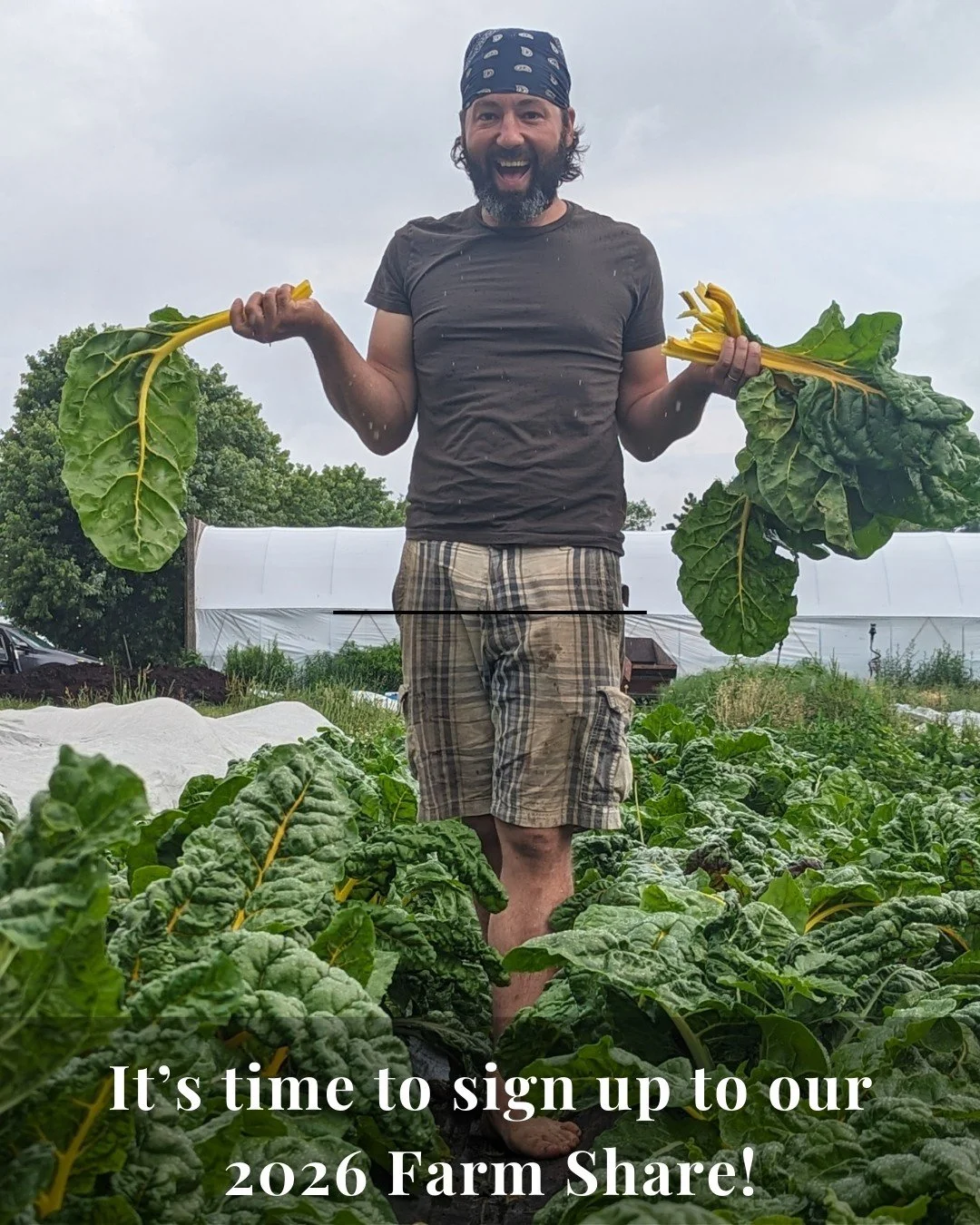 Our 2026 Farm Share subscription is open for sign up!

Spring is in the air, and soon our fields will be bursting with food, ready to be picked. The Farm Share is your chance to take home a selection of our harvest each week throughout the growing se