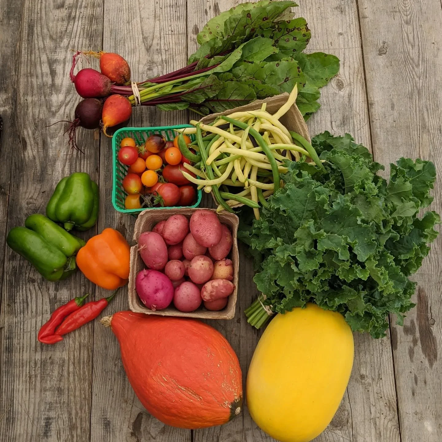 What do you get in a Farm Share? Here are some examples of what you might get on any given week. But the answer is complicated because it depends on...

🍅 What size share you get (a Regular Share has about 6 items, a Large Share has about 10)

👩&zw