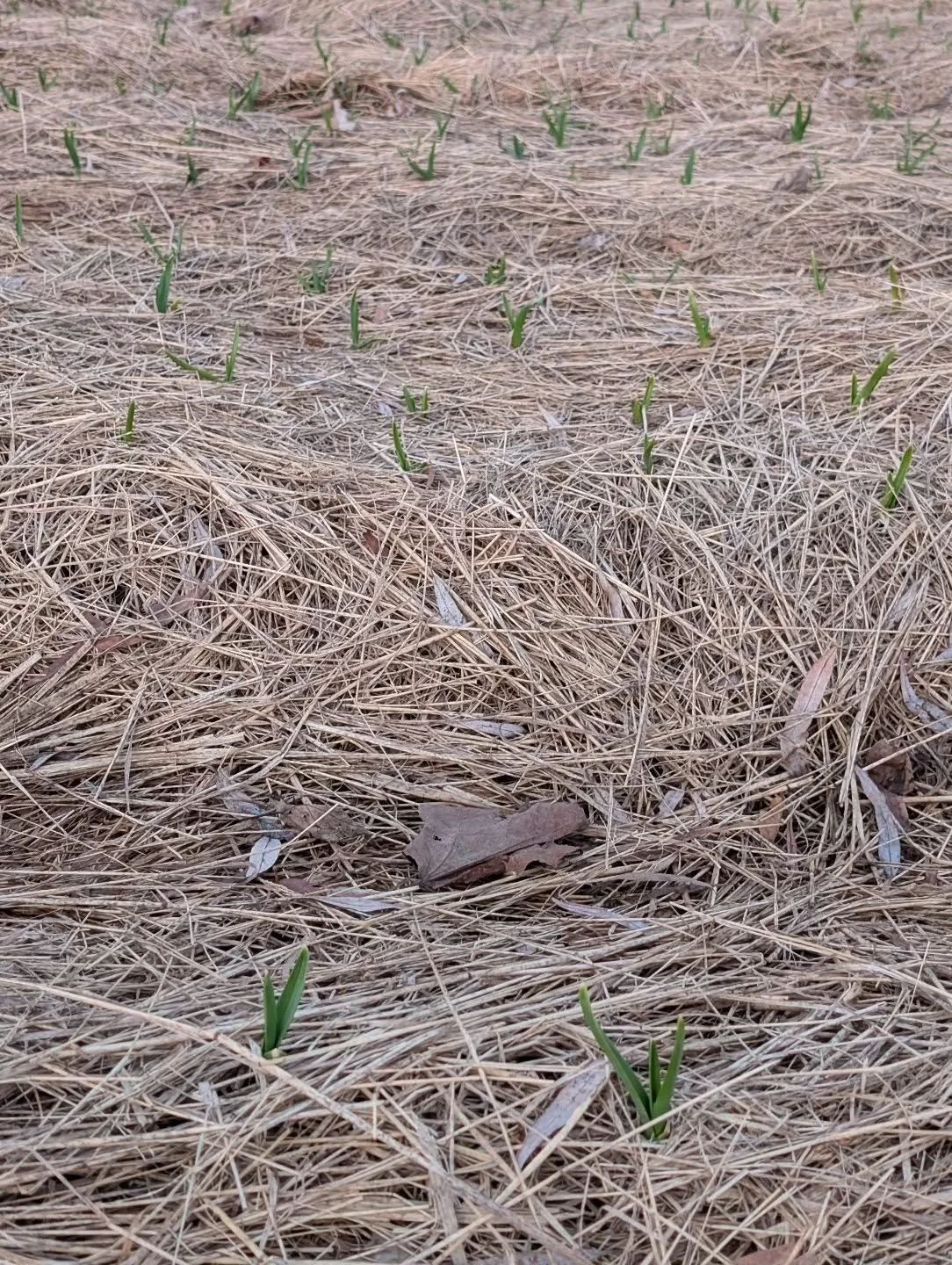 Good to see you again friends.