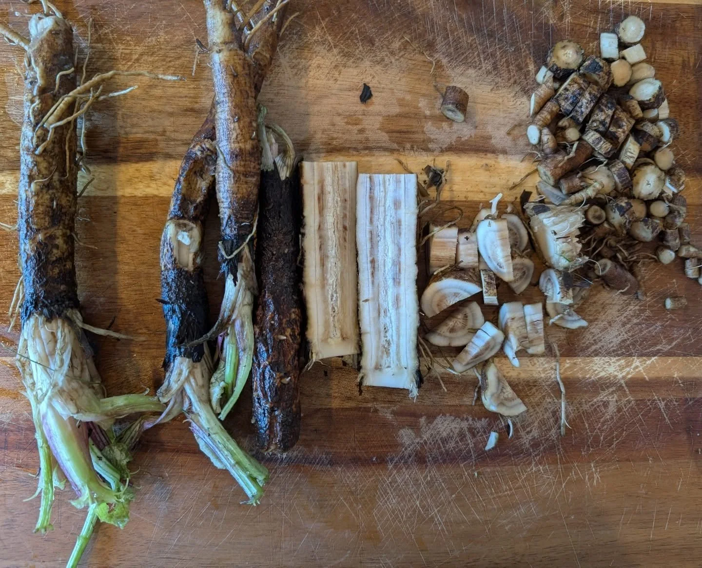 I've lived with burdock my whole life. I harvested it for the first time yesterday, and prepared it to dry for tea. I'm wanting to learn about wild food and medicine. Well, I have for a long time. I became a farmer first and foremost because I love t