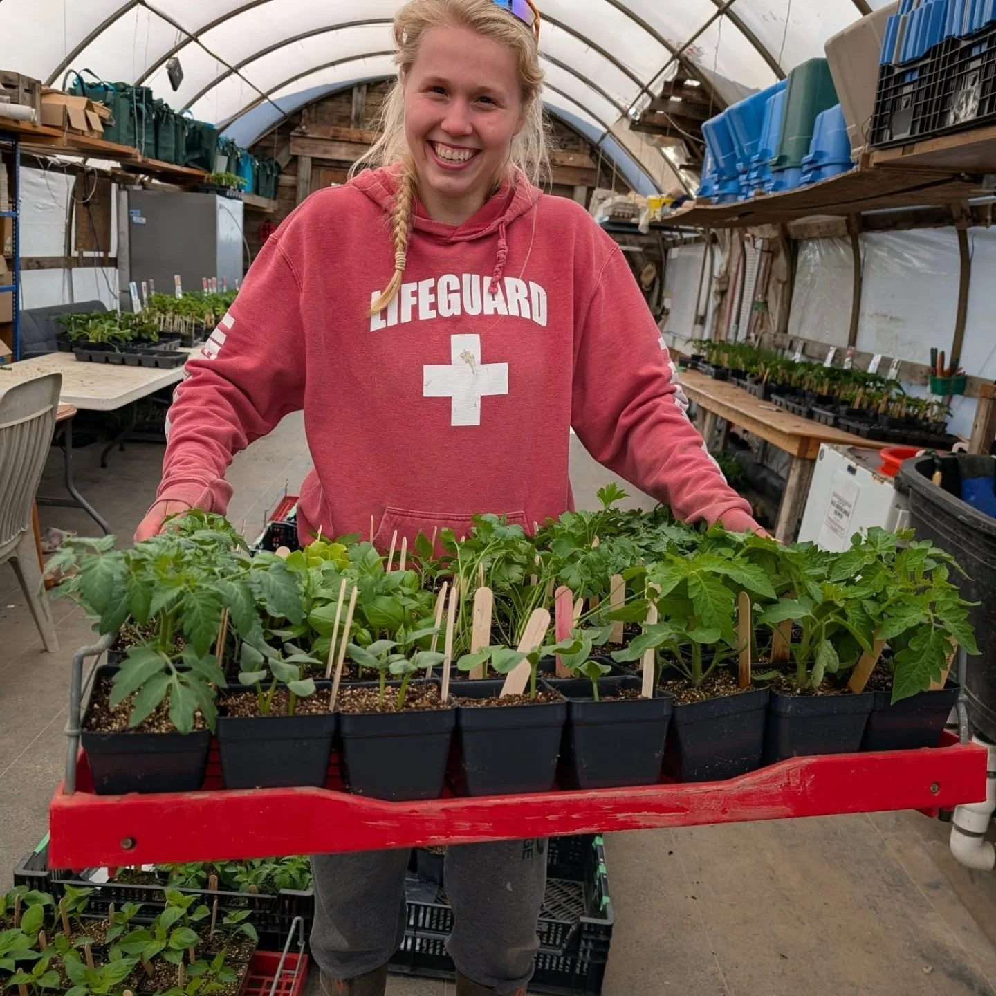 We did it! After months of planning, filling trays, seeding, potting up, chopping wood, stoking the furnace at night, checking temperatures, gathering supplies, keeping records, spreading the word, cleaning up, and preparing; our seedling sale pre-or
