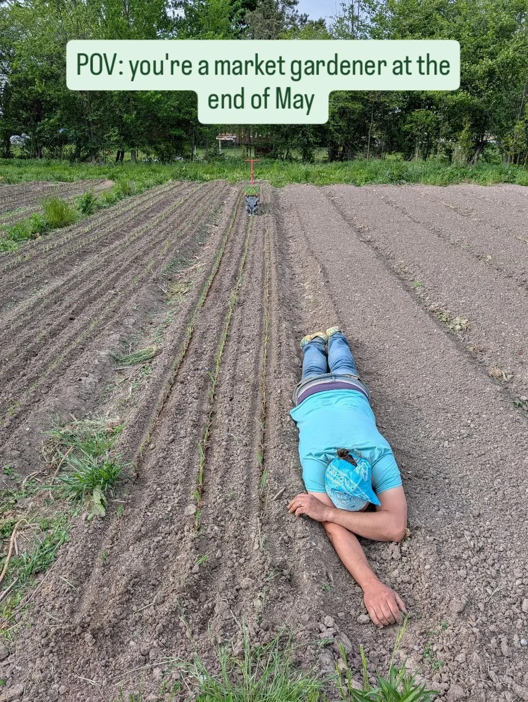 We 👏 Can't 👏 Stop 👏! Farm Share Year 8 starts next week, sign up before Thursday; farm share folks you'll get an email from me tomorrow with everything you need to know!  Let's goooooo!