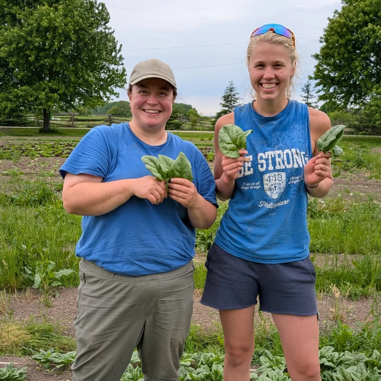 We are almost all women-powered on this farm! Special shout out today to Katey and Mikki, our main farm crew for the season; and Jackie and Susan who are on year 4 of volunteering here!