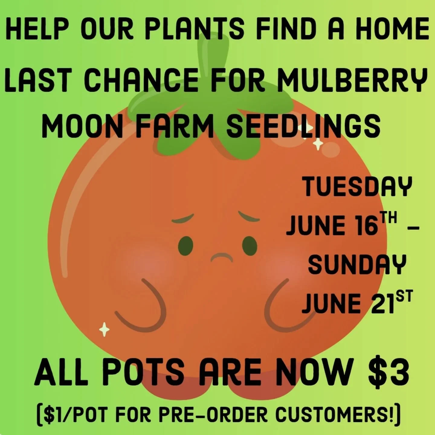 Seedling sale ✨ SALE ✨ -- last chance to get some plants for your garden. All pots reduced to $3. They will not be available after this weekend. 

$1/pot if you pre-ordered seedlings - our way of saying thanks!

Our plants are not as shiny as they we