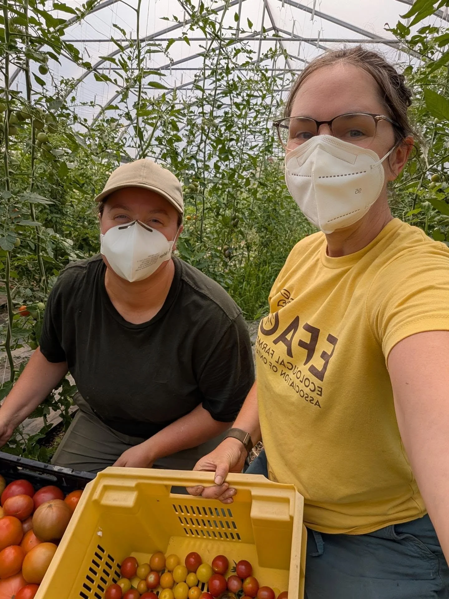 It's cherry tomato season and, apparently, forest fire season. Let's do better for our planet.