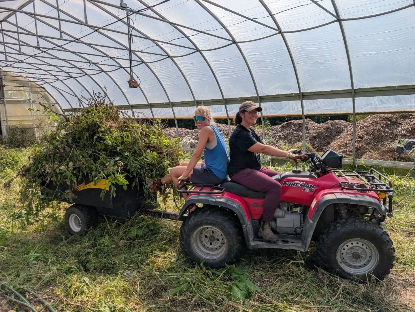 No time left for tomatoes. Now is time to get the hoophouses planted for fall/winter.