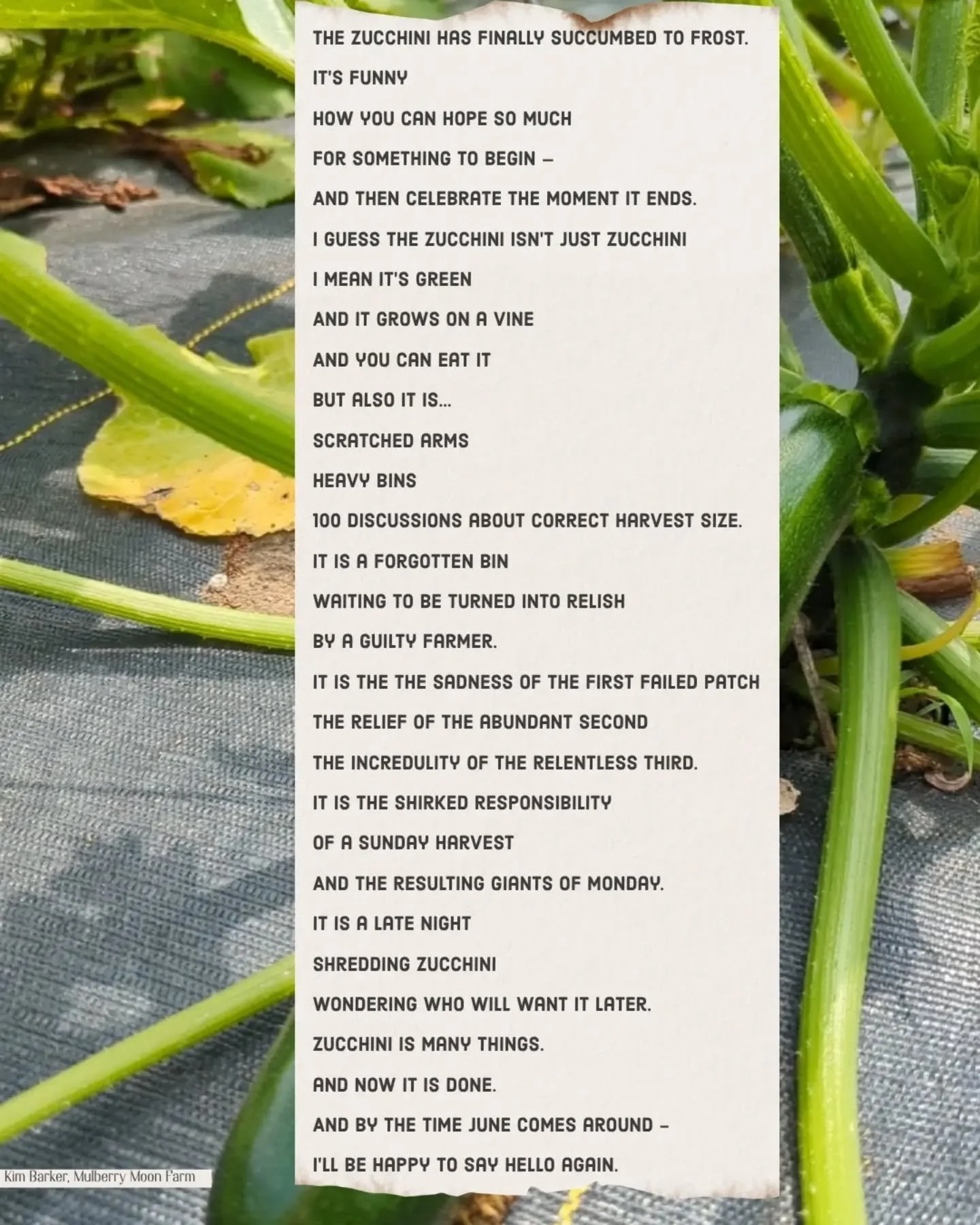 I'm challenging myself to write poetry more often, so here we go.