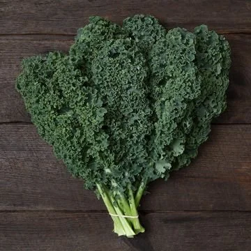 Kale Seedlings