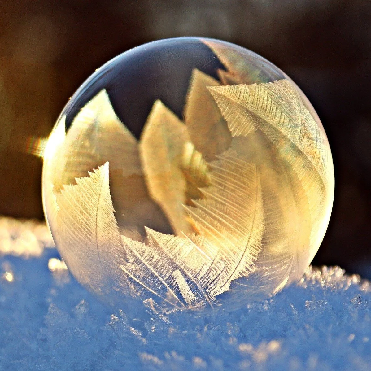 Rejuvenate and Refocus Women's Retreat