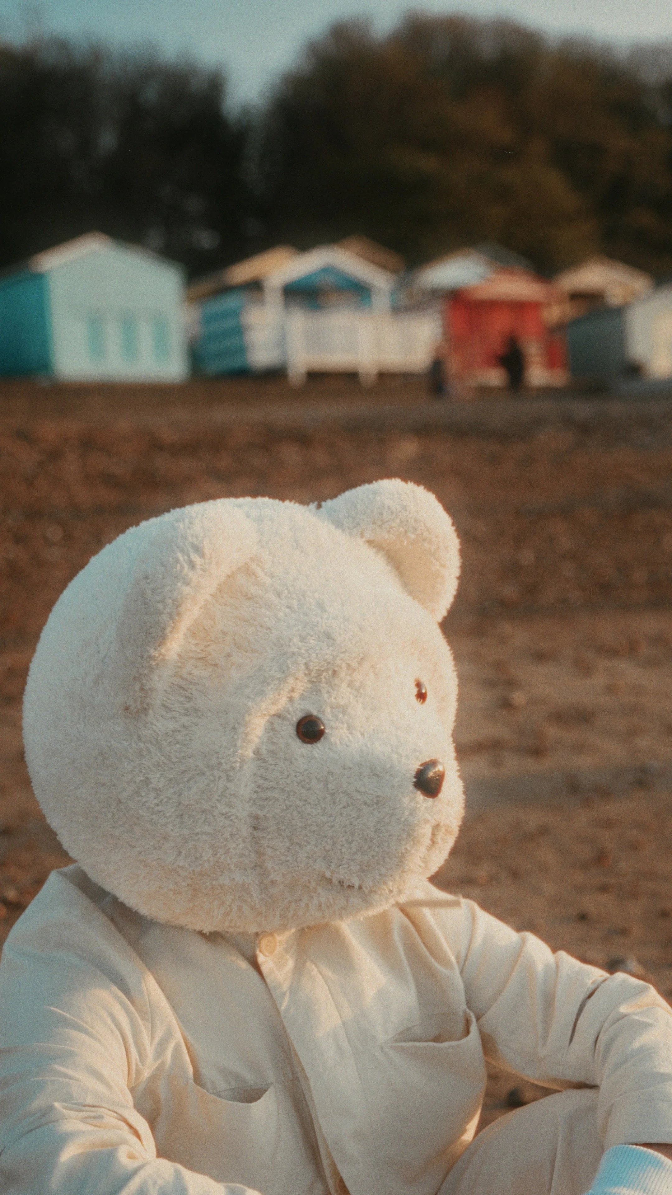 Teddy bear outdoor portrait — creative still life photography on sandy ground