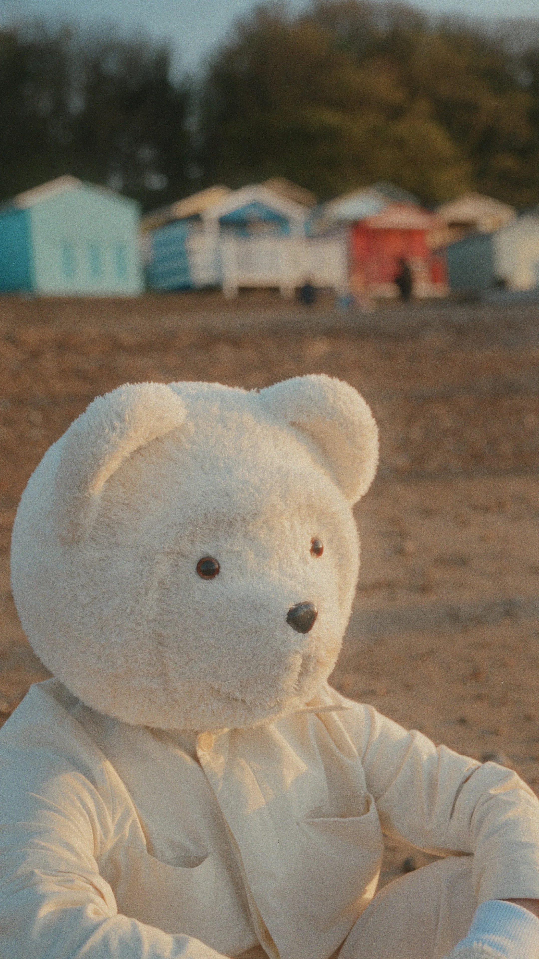 Teddy bear mascot photographed outdoors — creative character photography