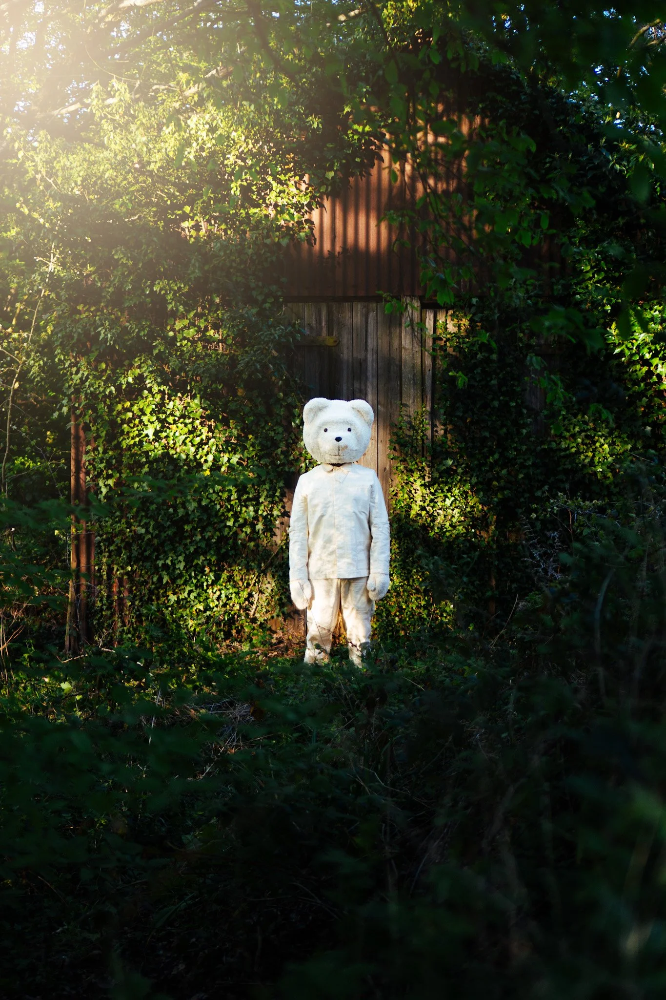 Teddy bear in a lush garden setting — creative still life photography