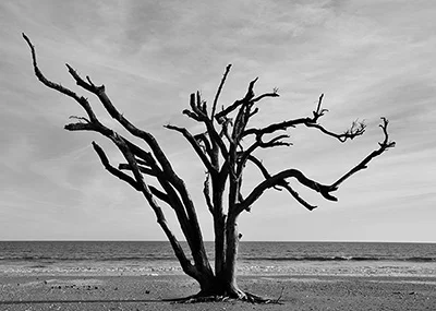 2016-01-25 077 CROPPED BW SIZED.jpg