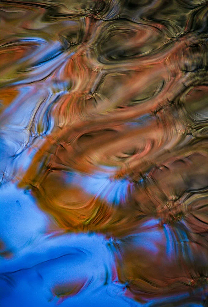Spring Landscape Miller Lake Shallows, Dacula, GA March, 2017