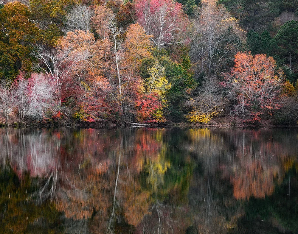 Kaleidoscope Miller Lake, Dacual, GA Fall 2016