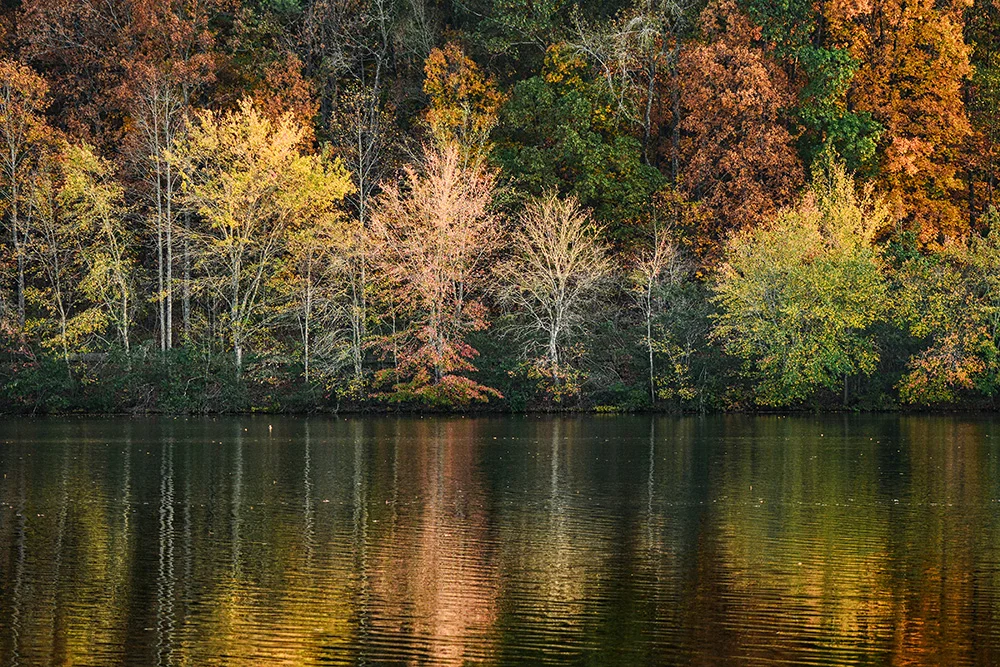 Rainbow Road Miller Lake, Dacual, GA Fall 2016