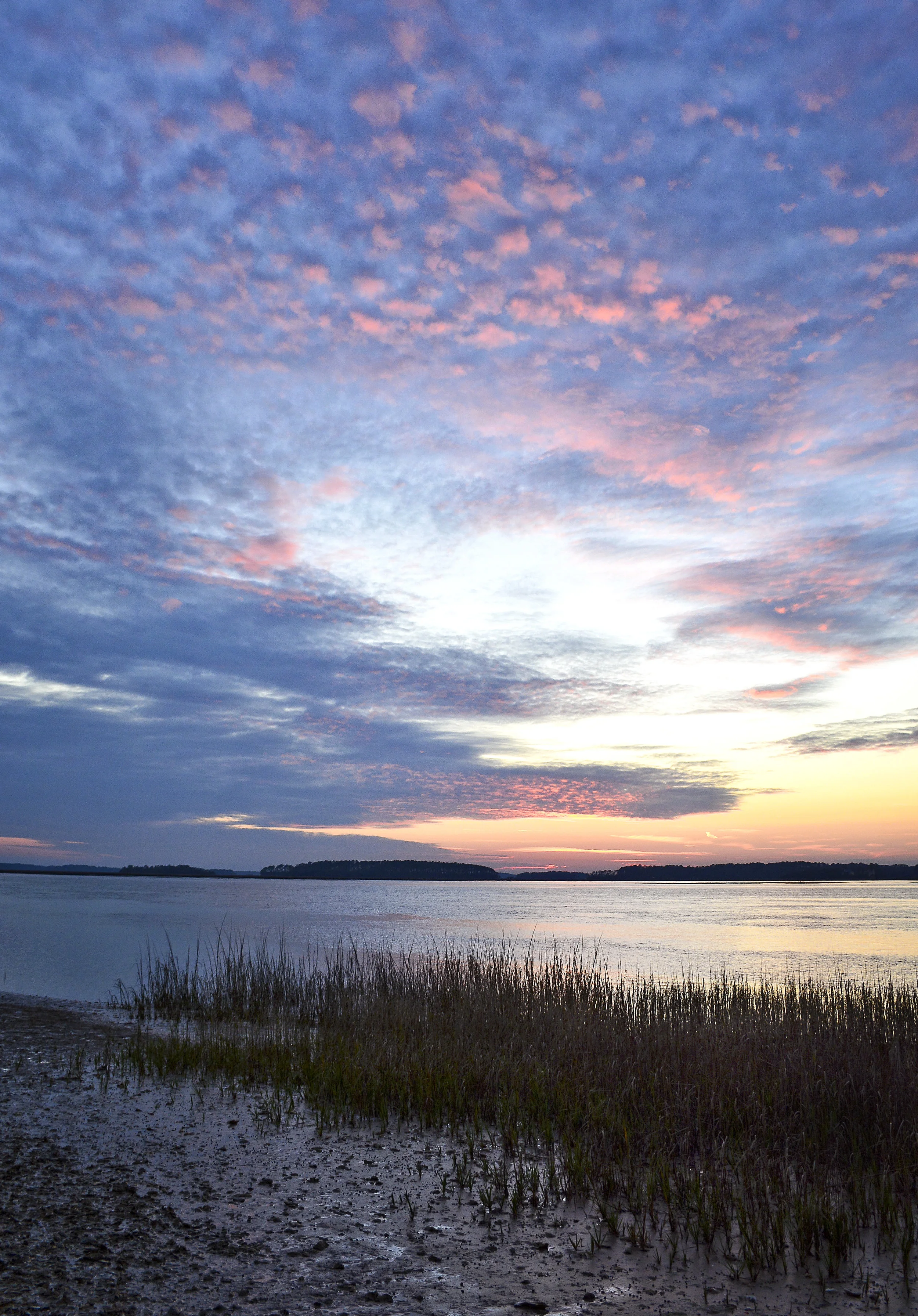 Pinckney Nature Preserve Hilton Head Island February, 2017