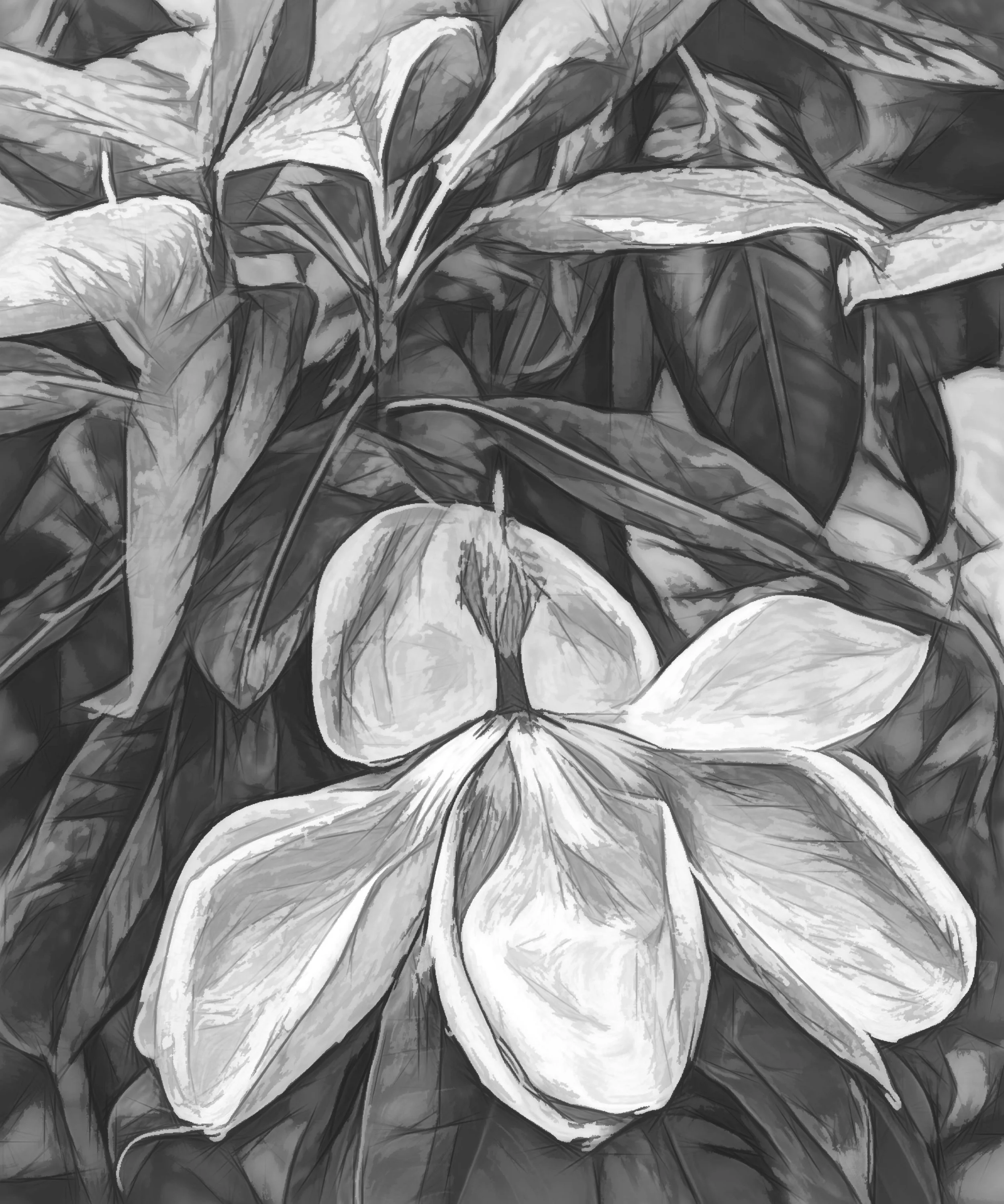 2017-05-31 001 144 TOPAZ-Artists Sketch L JPG 1 SIZED.jpg