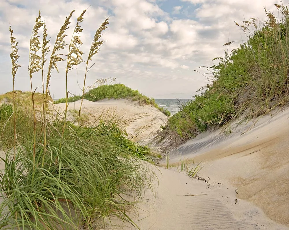 Canyon Outer Banks, NC August, 2018