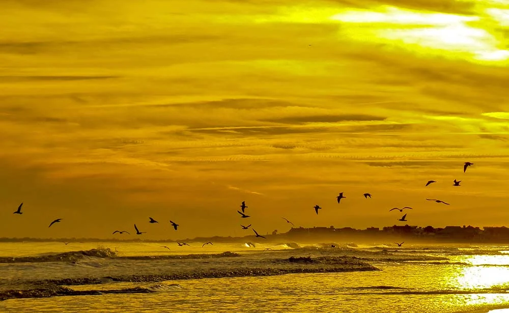 Freedom 3 Isle of Palms January, 2015