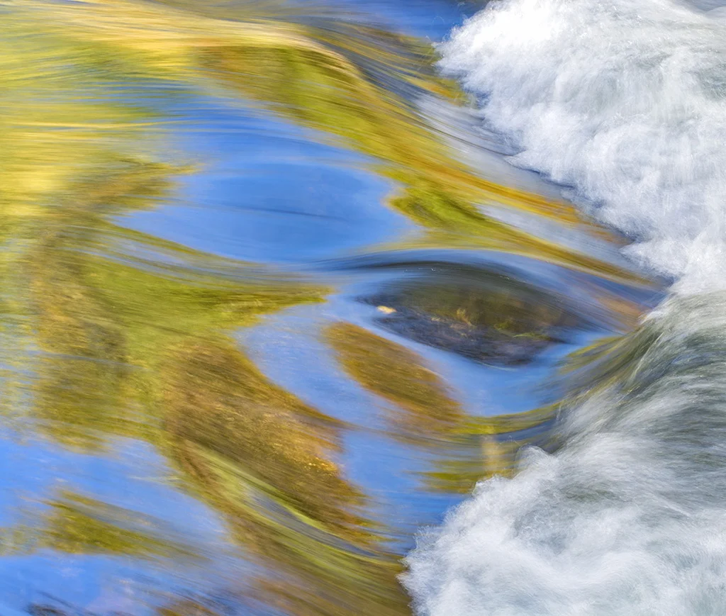 2018-10-30 002 002 - Copy cropped MERGED SIZED.jpg