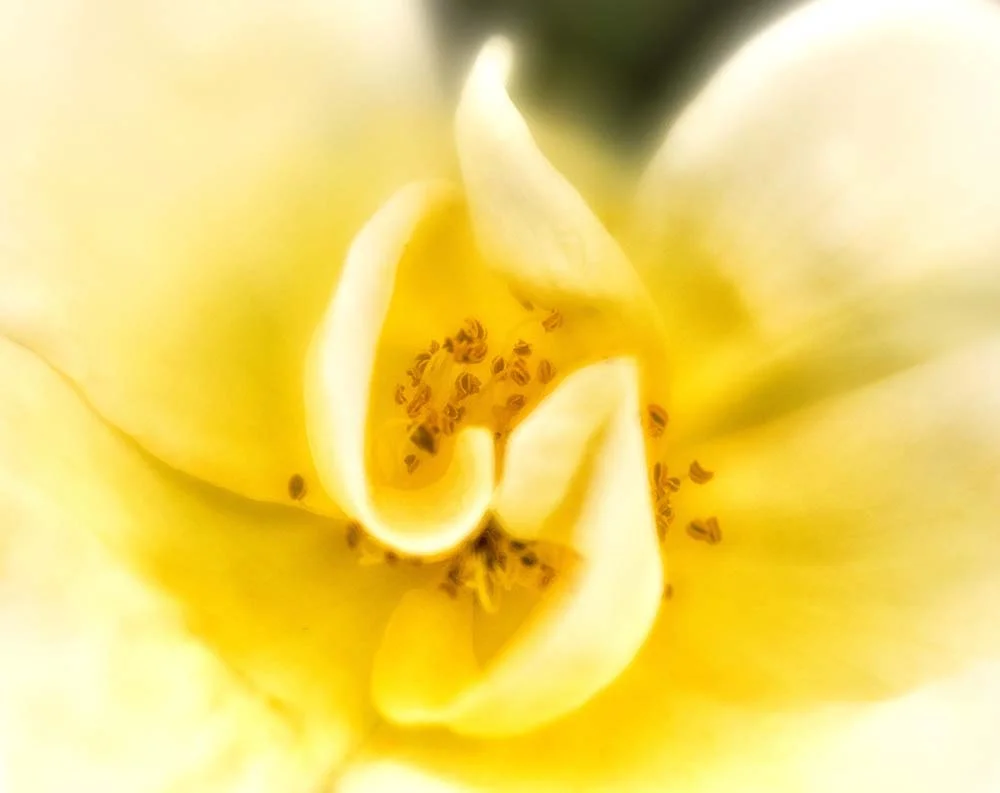 2018-10-14 001 001 - Copy CROPPED JPG 1 SIZED.jpg