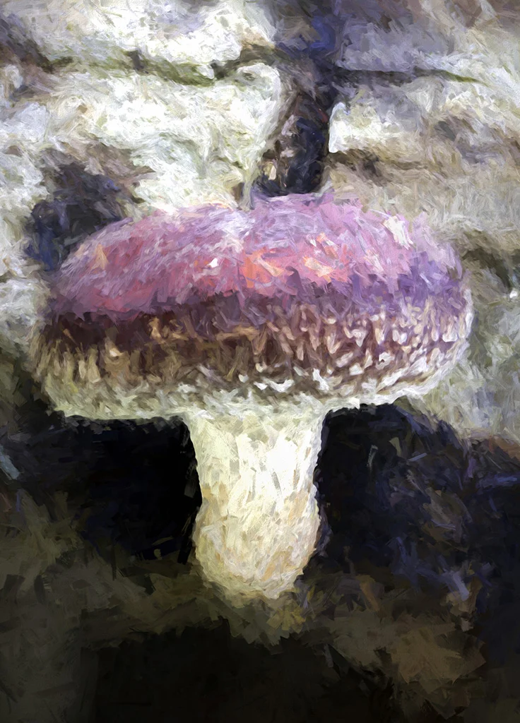 2018-10-18 002 234 MERGED 3 TOPAZ merged SIZED.jpg