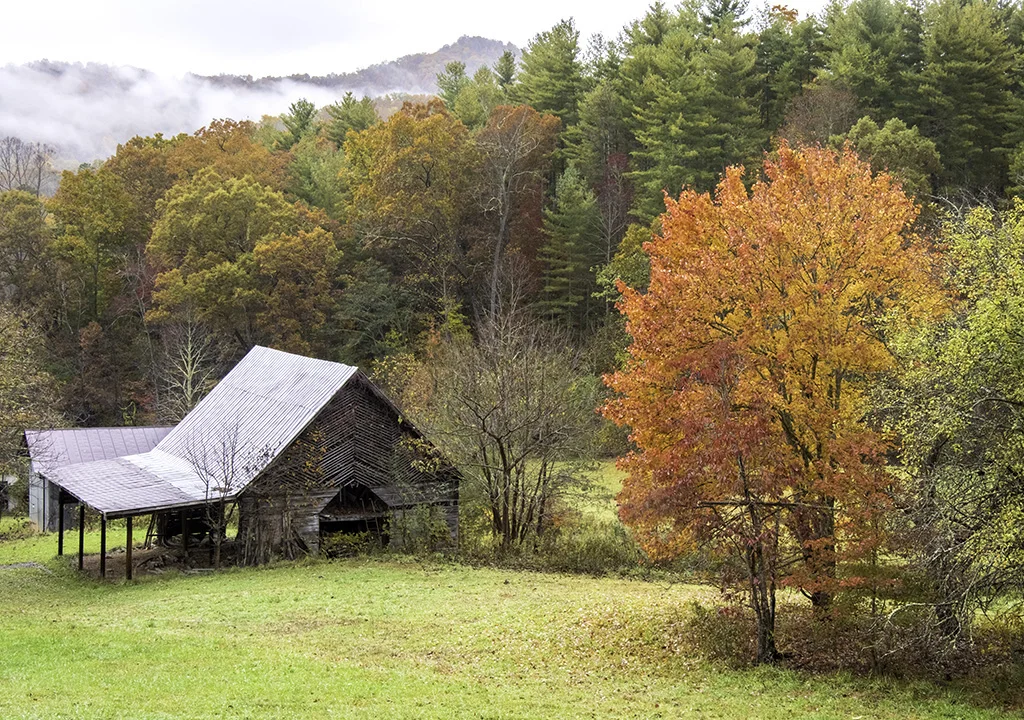 2018-11-02 001 146-HDR-Edit MERGED SIZED.jpg
