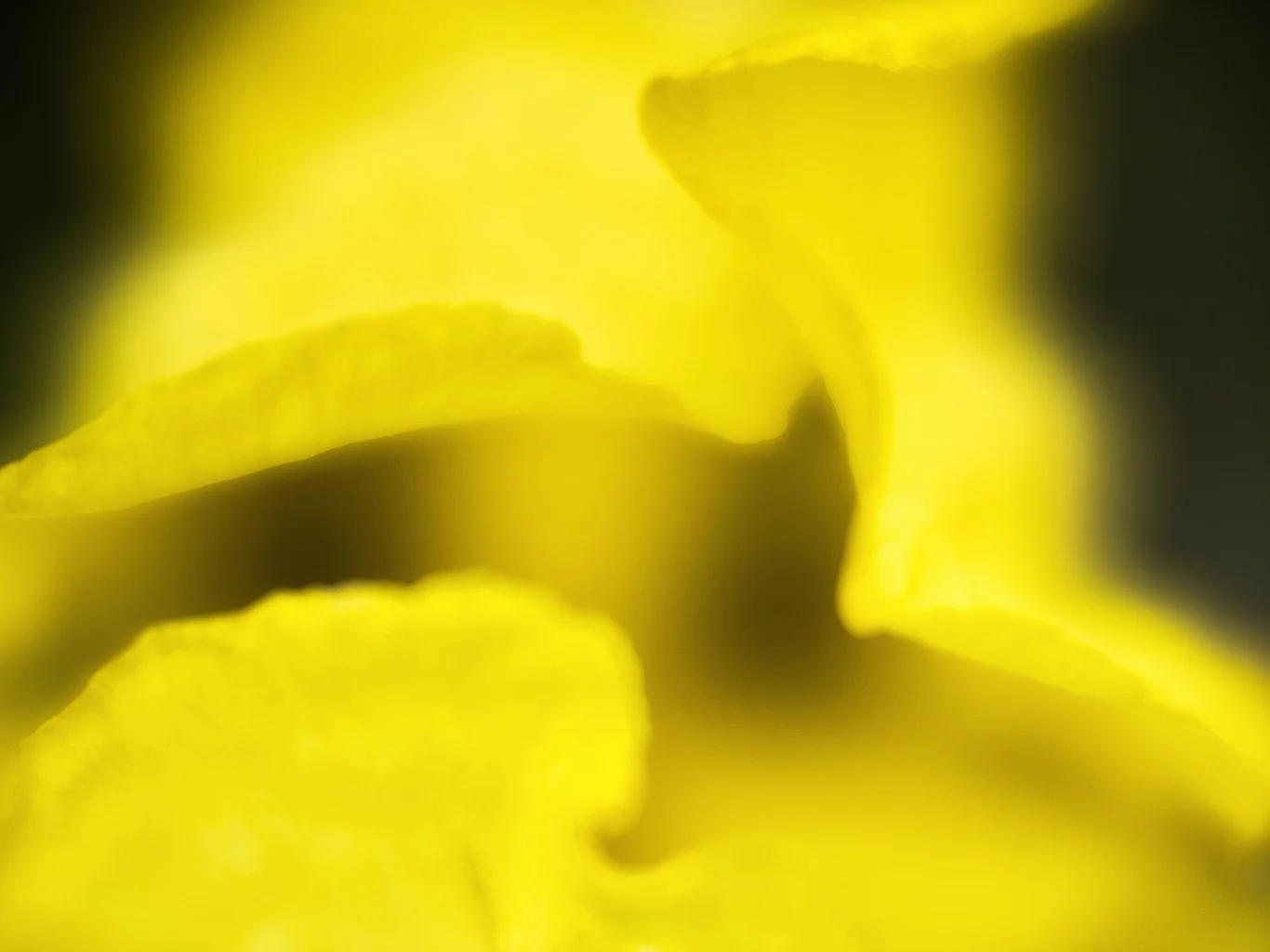 2018-05-04 003 049 - Copy merged cropped sized.jpg