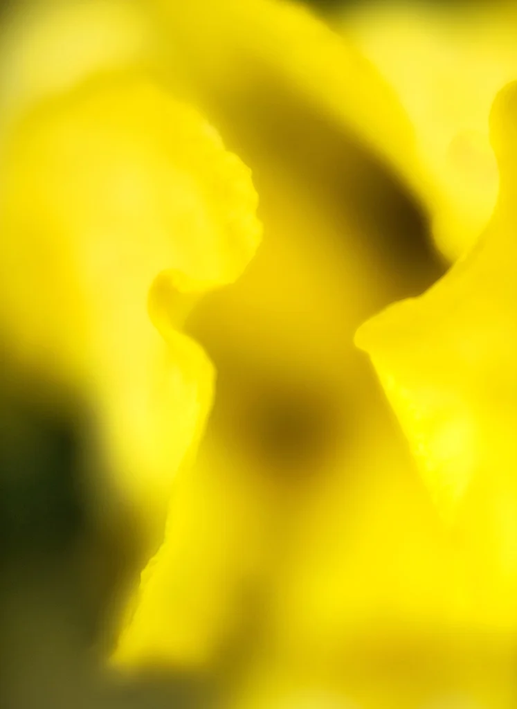 2018-05-04 003 048 - Copy MERGED cropped sized.jpg
