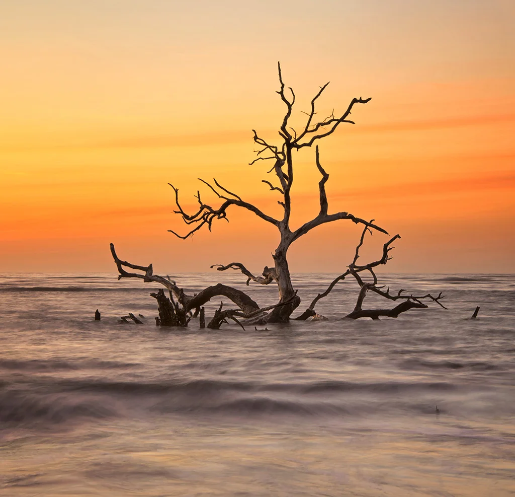 Hunting Island Dawn South Carolina March 9, 2019