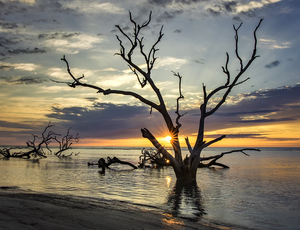 2019-03-16 001 126-HDR-Edit merged sized.jpg