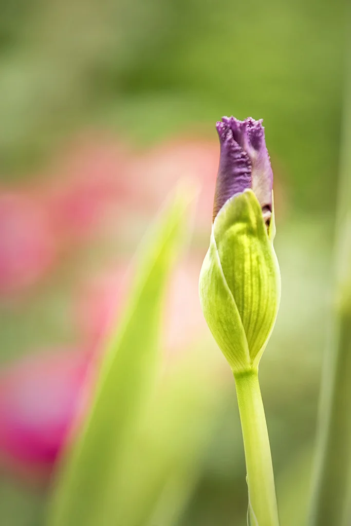 Begin April, 2019
