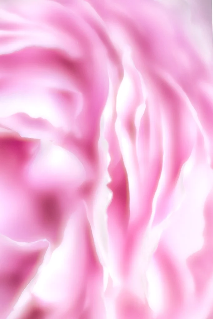 The Heart