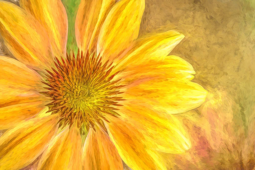 2019-05-23 001 196 - Copy merged TOPAZ sized.jpg