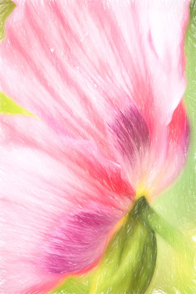 2019-05-10 001 223 - Copy BRIGHTER SIZED.jpg