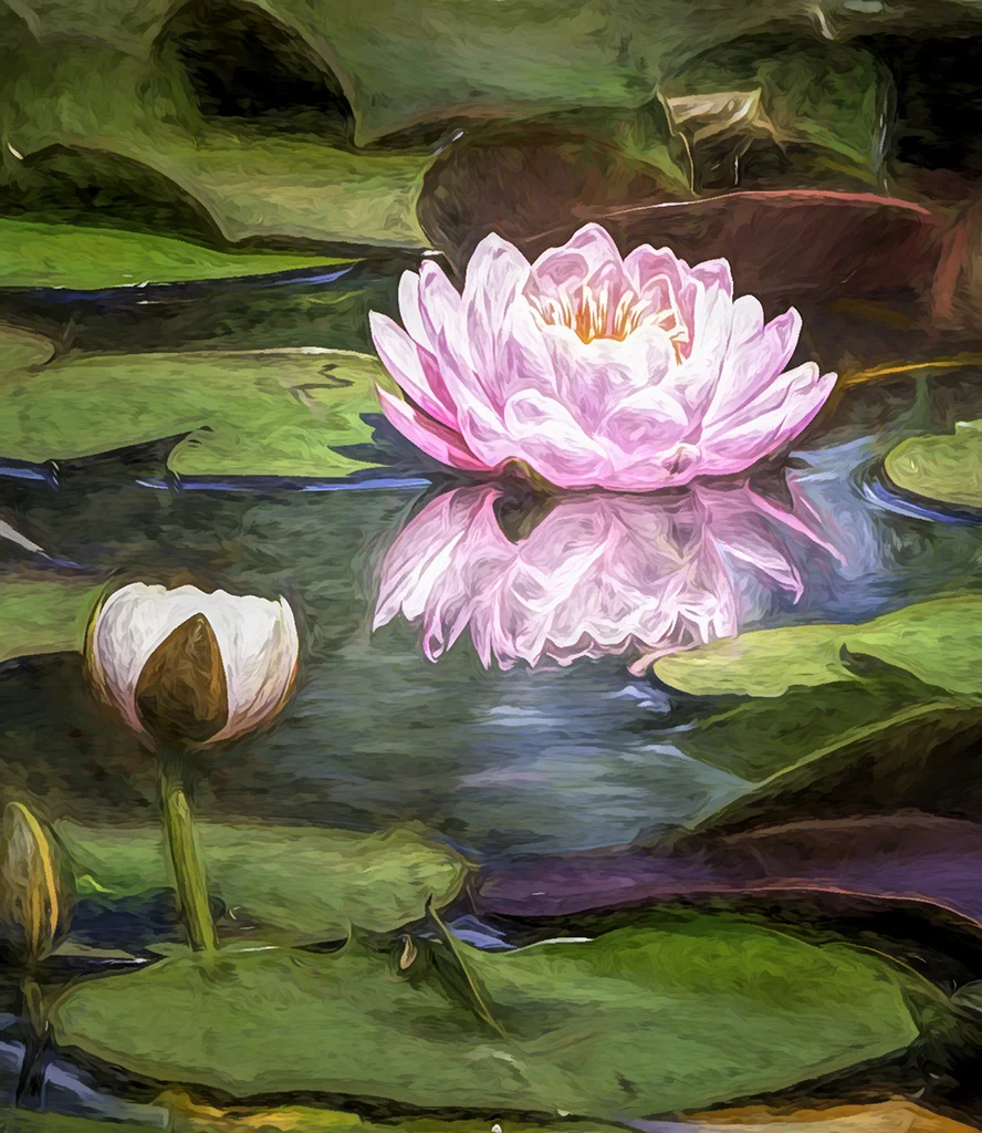 2019-05-06 001 258-Edit MERGED 2 TOPAZ sized.jpg