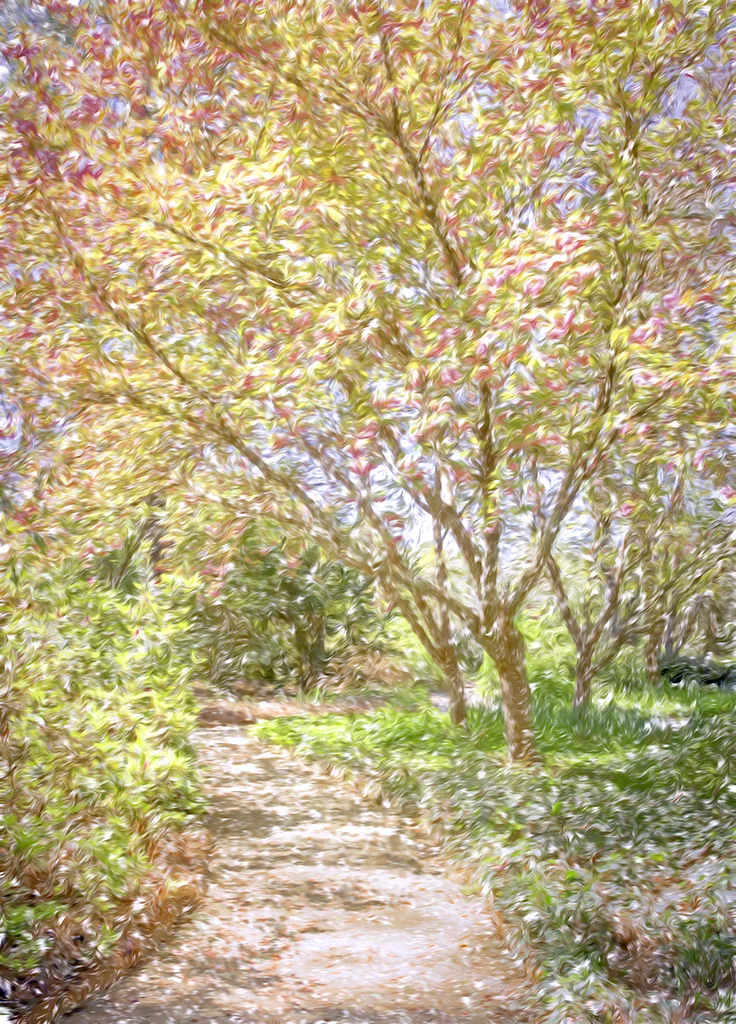 2019-04-01 001 251-HDR-1 MERGED 2 - TOPAZ sized.jpg